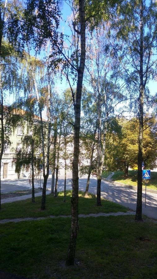 فندق إلفيففي  Polska Poduszka Na Franka المظهر الخارجي الصورة